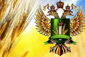 Сертификат здоровья на экспорт россельхознадзор